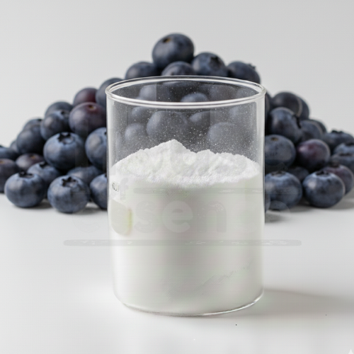 Blueberry Flavour Powder | Blueberry Dry Flavor - NI