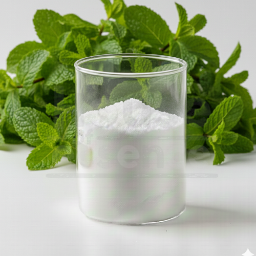 Fresh Mint Flavour Powder | Pudina Dry Flavor - NI