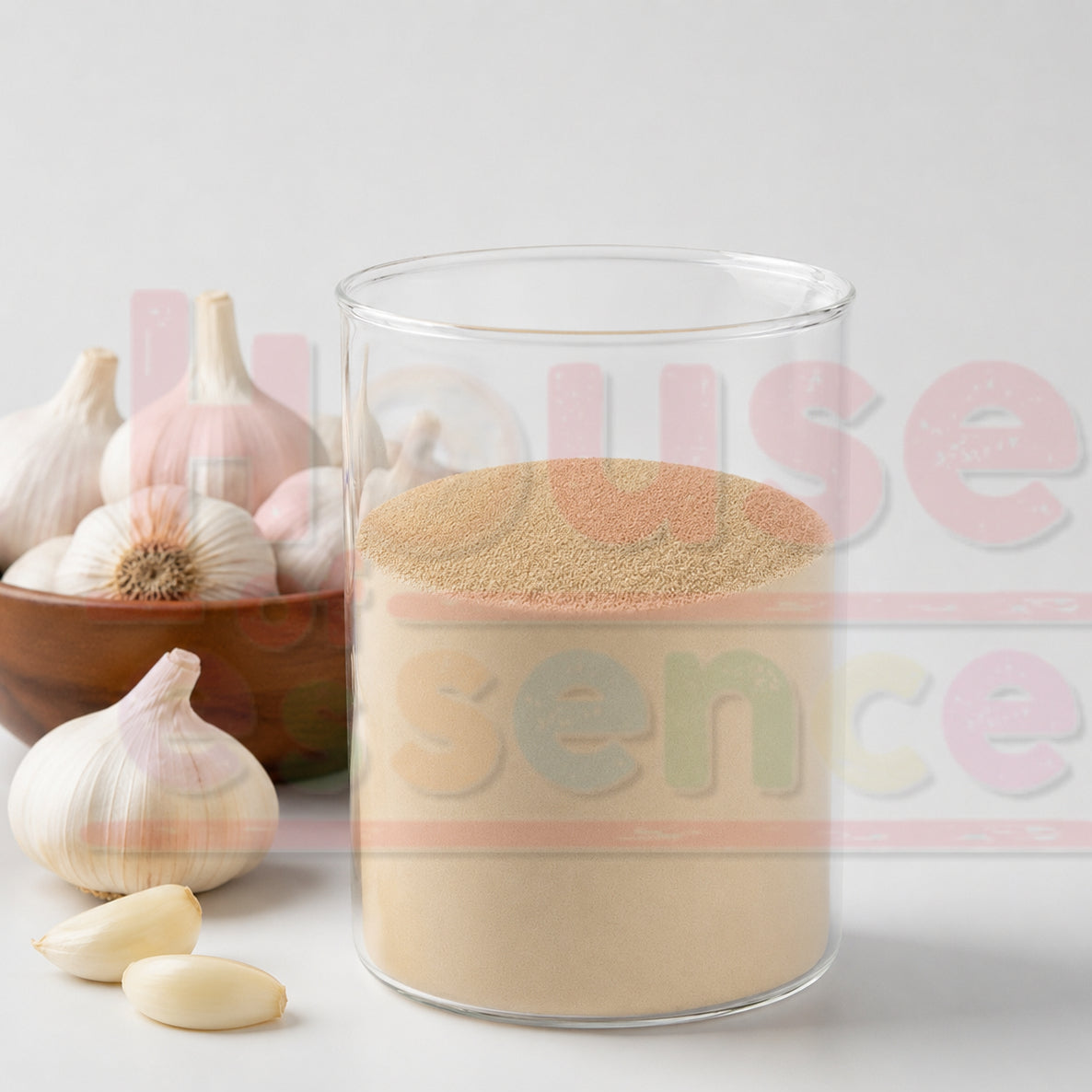 Natural Garlic Flavour Powder | Garlic Dry Flavor - Natural