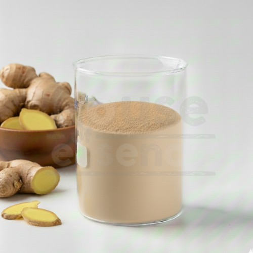 Natural Ginger Flavour Powder | Ginger Dry Flavor - Natural