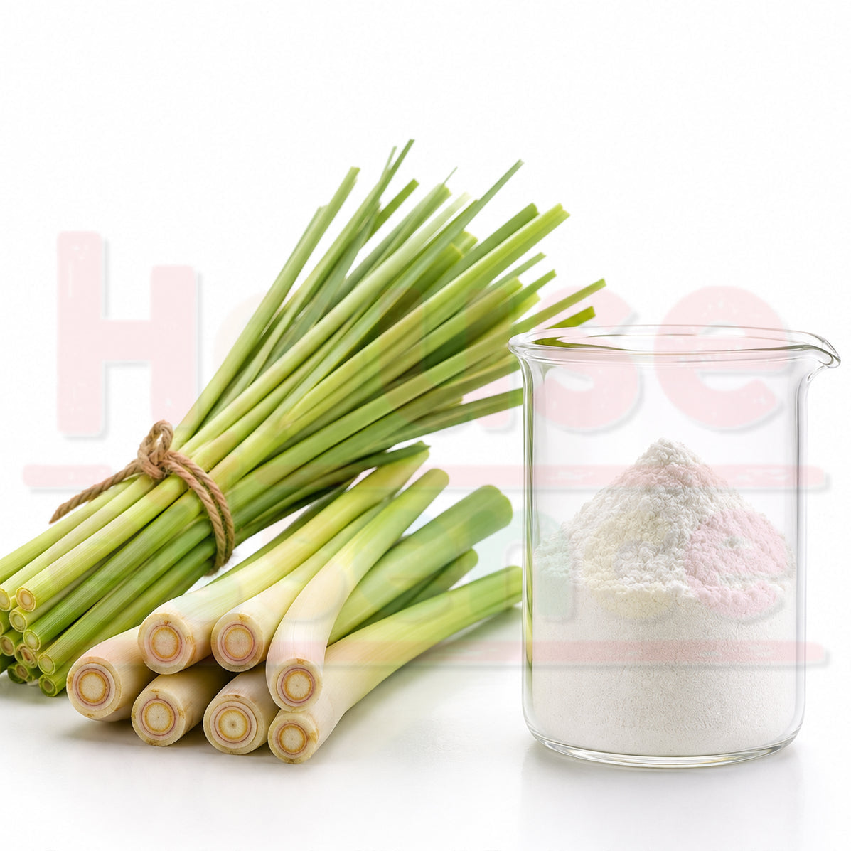 A bundle of fresh lemongrass stems tied with twine next to a clear glass beaker containing white and pale pink powders, on a white background with a faint watermark.