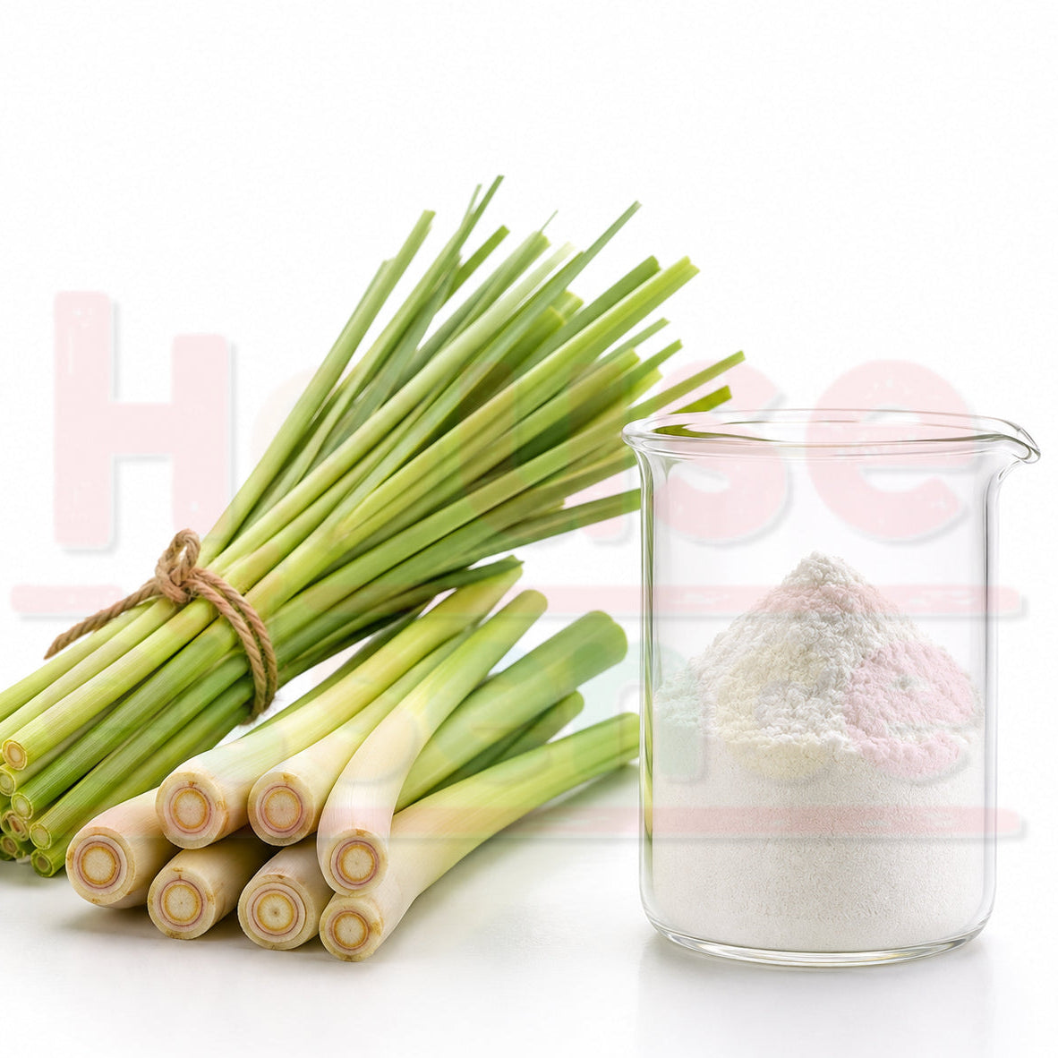 A bundle of fresh lemongrass stems tied with twine next to a clear glass beaker containing white and pale pink powders, on a white background with a faint watermark.