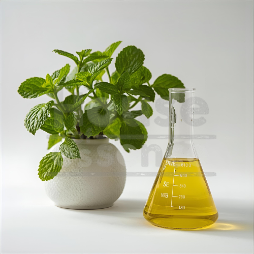 Spearmint Flavour | Spearmint Flavouring Essence - NI