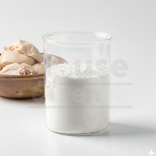 Chicken Flavour Powder | Chicken Dry Flavor - NI