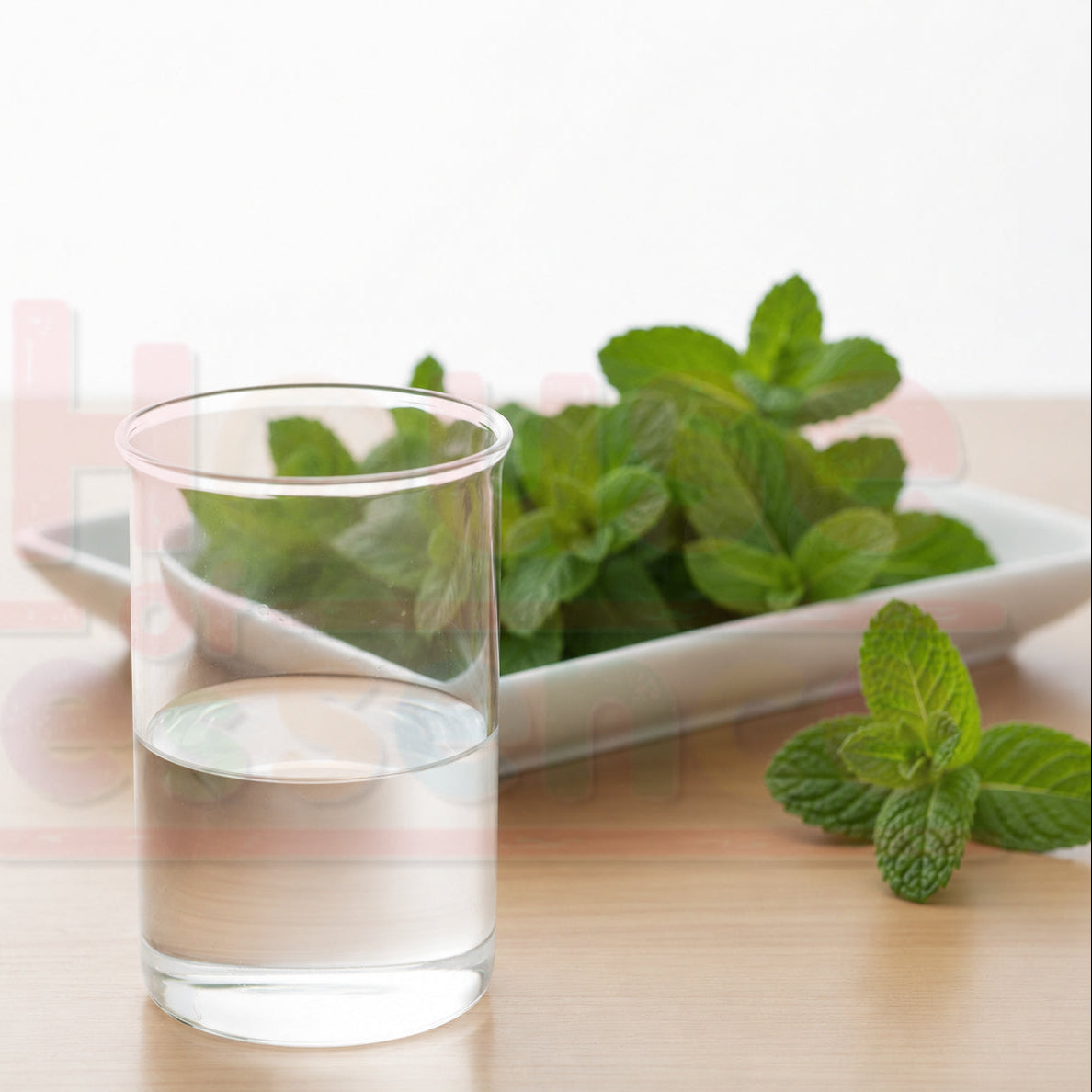 A clear glass tumbler filled with water on a light wood surface, with a white dish of fresh green mint leaves in the background.